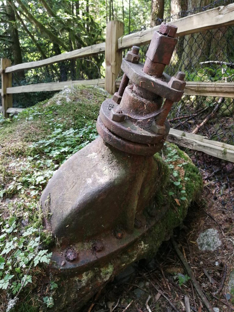 Remnants of old logging equipment on the trail