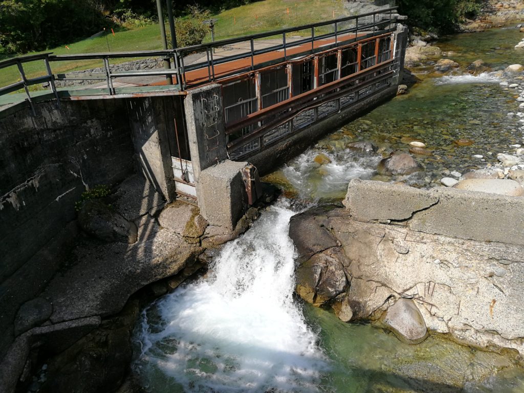 Old dam facility on Lynn Creek