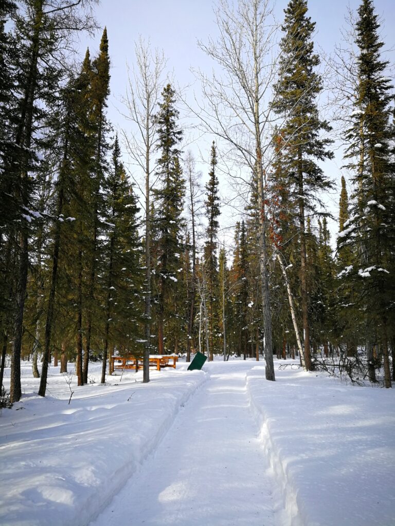 Snow covered trail through the forest with hot springs structure in the distance