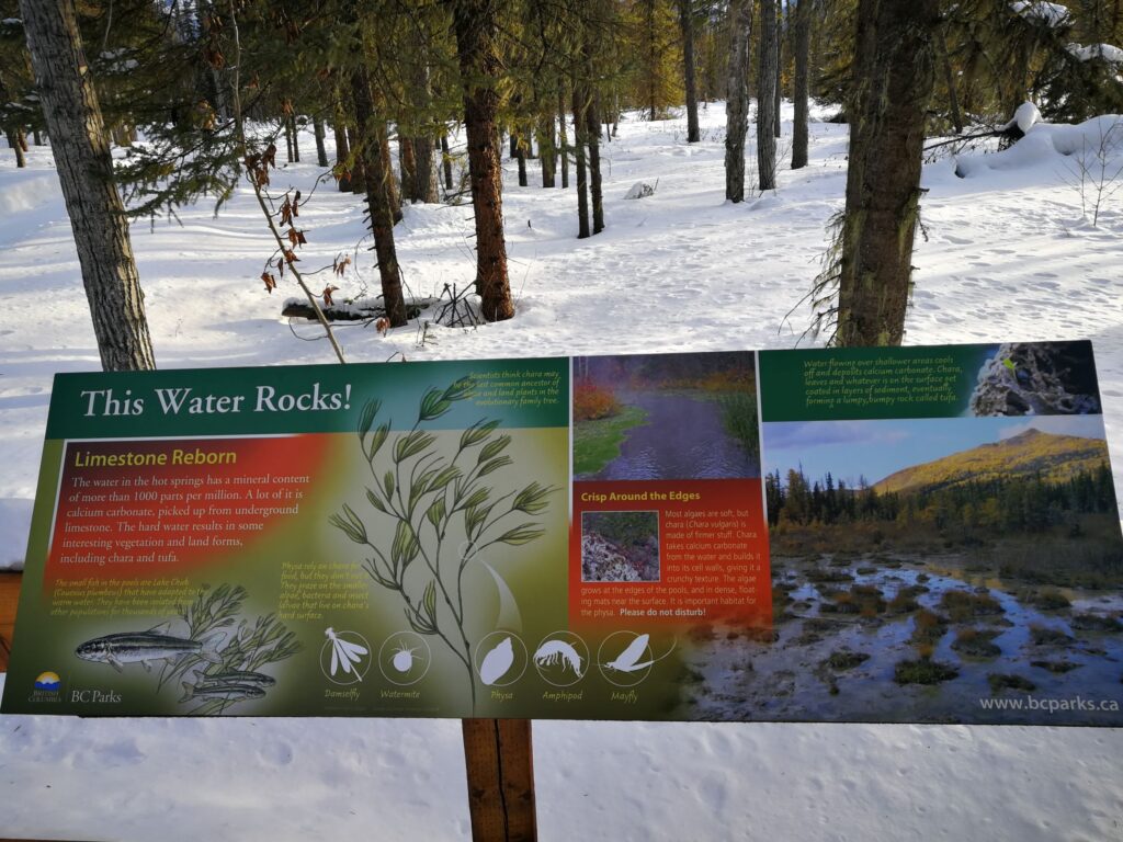 Signage of flora and fauna in the park