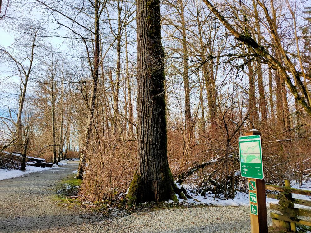 Nature trail signage