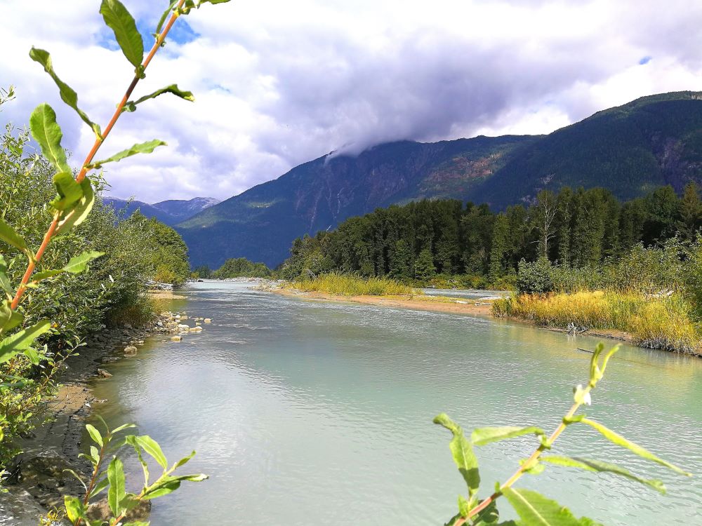 Bella Coola River with mountains in the background