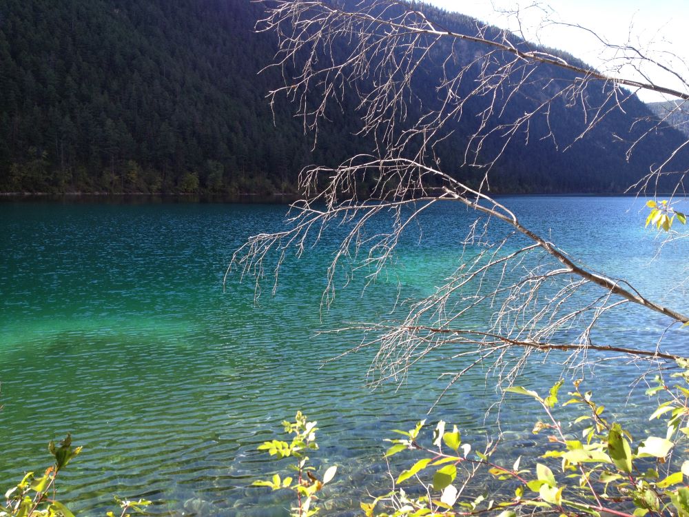 Pavilion Lake's mysterious green colours